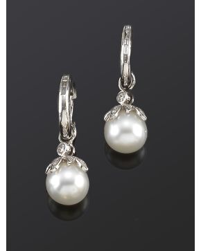 749-PENDIENTES CRIOLLA DE DIAMANTES Y PERLA AUSTRALIANA DE 9.5MM DE DIÁMETRO. Montura de oro blanco de 18k. 