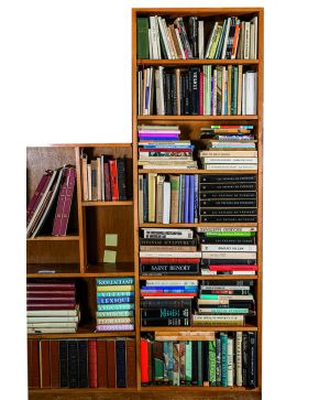 236-Lote de Libros de Arte 