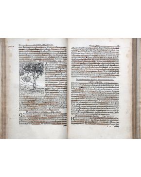 3223-3223.-HUTTICH. Johann (ca 1480-1544) and Simon GRYNAEUS (1493-1541). Novus orbis re-gionum ac insularum veteribus incognitarum. Basel: Hervagius. 1532