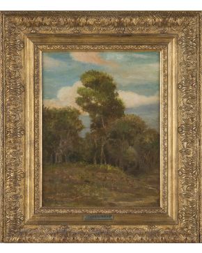 2135-ESCUELA ITALIANA S. XX Paisaje boscoso" Óleo sobre lienzo.  Firmado y fechado: "Testabruna 1928?" Medidas: 33 x 26 cm."