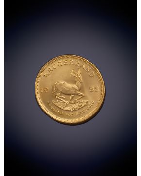 903-MONEDA ORO AMARILLO 1982 KRUGERRAND