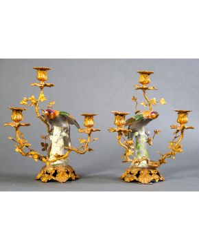 1005-Pareja de candelabros estilo Luis XV, s. XIX, de tres luces en bronce dorado con decoración de hojas con un gran loro en porcelana de Meissen esm