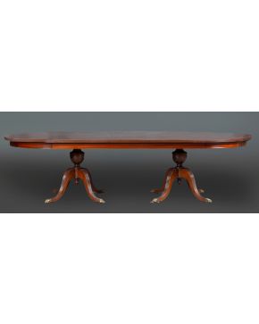 413-Gran mesa de comedor oval de estilo inglés en madera de palma de caoba sobre patas estriadas con pie de garra de león en latón.  Medidas: 73 x 280