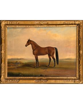 685-THOMAS KIRBY VAN ZANDT (1814 - 1886)  1876 Caballo de carreras" Óleo sobre lienzo Firmado y fechado lateral inferior: " Van Zandt-Albany 1876/ N. 