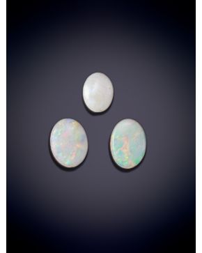 695-LOTE DE BELLOS ÓPALOS NATURALES EN CABUJÓN DIFERENTES TAMAÑOS. Peso total: 8.47 ct.