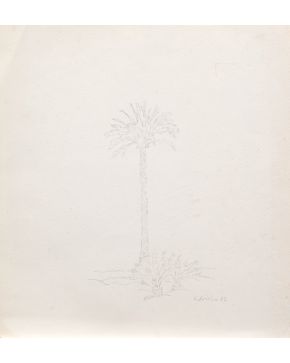 2049-RAFAEL CIDONCHA (Vigo 1952)  “Palmera”. 1987 Dibujo a lápiz sobre cartulina Firmado y fechado 1987  Medidas: 26 x 24 cm.