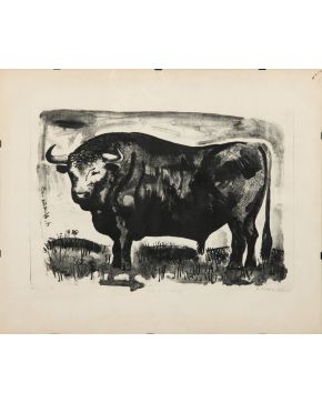 305-ALFREDO ALCAÍN (Madrid 1936) Toro en el campo"". 1963 Litografía sobre papel Firmada, fechada y titulada a lápiz ""Toro en el campo 1963"" 